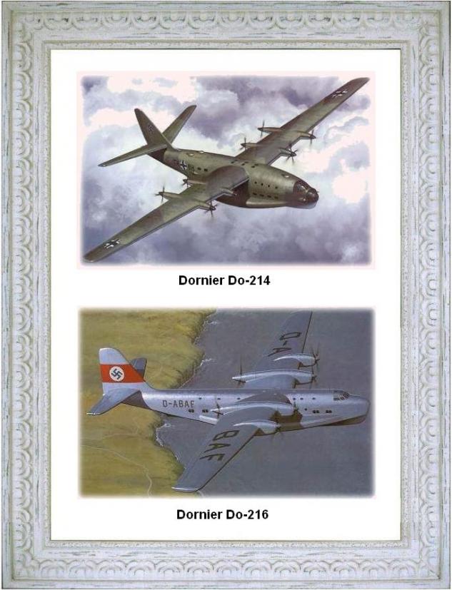dornier-do-214-216-woodcock.jpg
